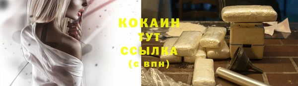 прущая мука Магас