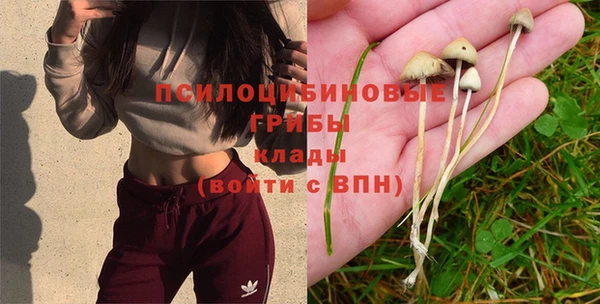 марки lsd Магадан