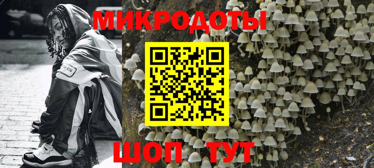 Сатка  Псилоцибиновые грибы Cubensis  Вход с VPN  Галлюциногенные грибы Cubensis 